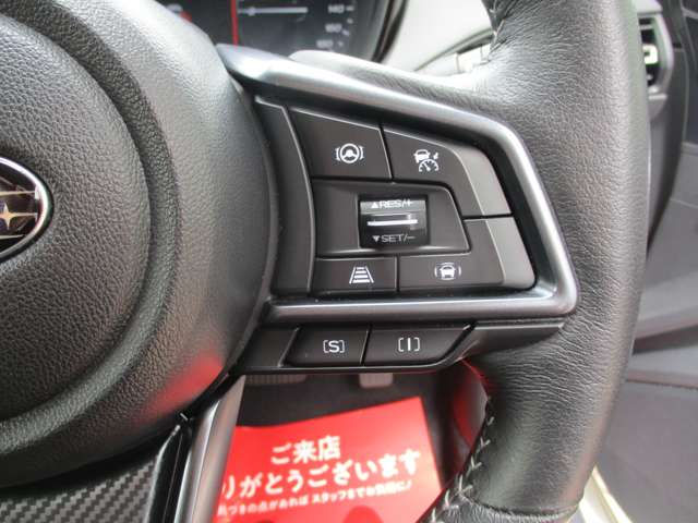 スバル レヴォーグ １．８ ＧＴ ＥＸ ４ＷＤ R2年 (甲信越・北陸) 99
