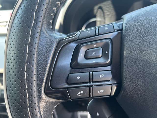 スバル レヴォーグ １．６ ＧＴ アイサイト Ｓスタイル ４ＷＤ H28年 (東北) 99