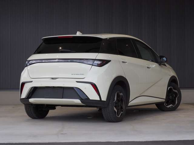 ＢＹＤ ＢＹＤドルフィン ベースライン R7年 (東北) 99