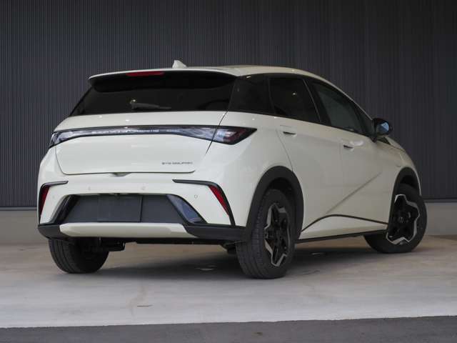 ＢＹＤ ＢＹＤドルフィン ベースライン R7年 (東北) 99