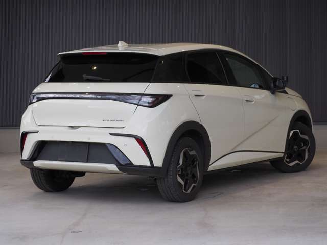 ＢＹＤ ＢＹＤドルフィン ベースライン R7年 (東北) 99