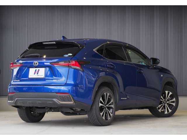 レクサス ＮＸ３００ｈ Ｆスポーツ H30年 (東北) 99