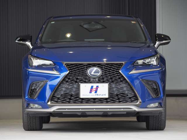 レクサス ＮＸ３００ｈ Ｆスポーツ H30年 (東北) 99
