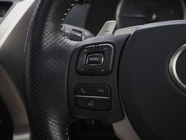 レクサス ＮＸ３００ｈ Ｆスポーツ H30年 (東北) 99