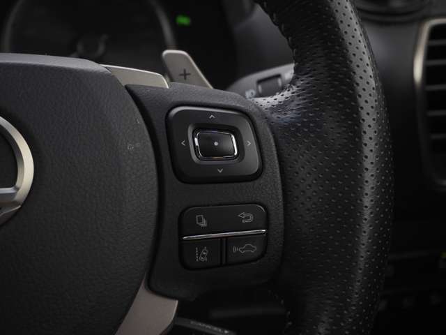レクサス ＮＸ３００ｈ Ｆスポーツ H30年 (東北) 99