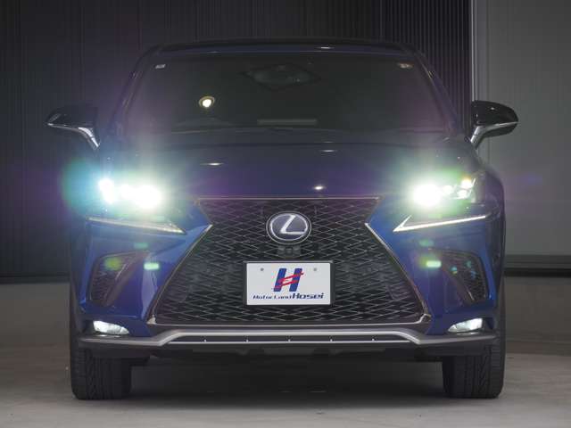 レクサス ＮＸ３００ｈ Ｆスポーツ H30年 (東北) 99