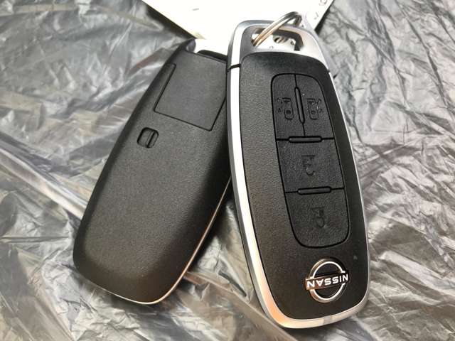 日産 ルークス ６６０ ハイウェイスターＸ プロパイロット エディション R7年 (東海) 99