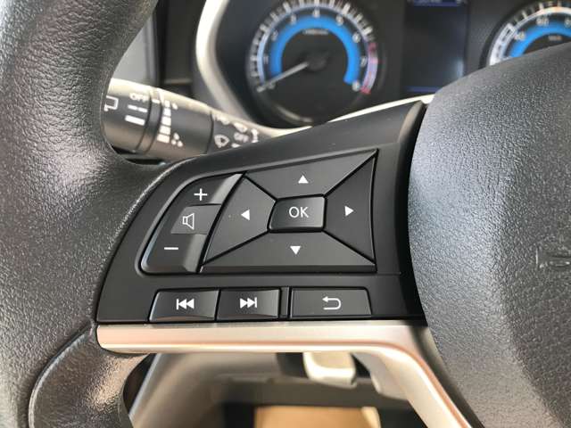 日産 ルークス ６６０ ハイウェイスターＸ プロパイロット エディション R7年 (東海) 99