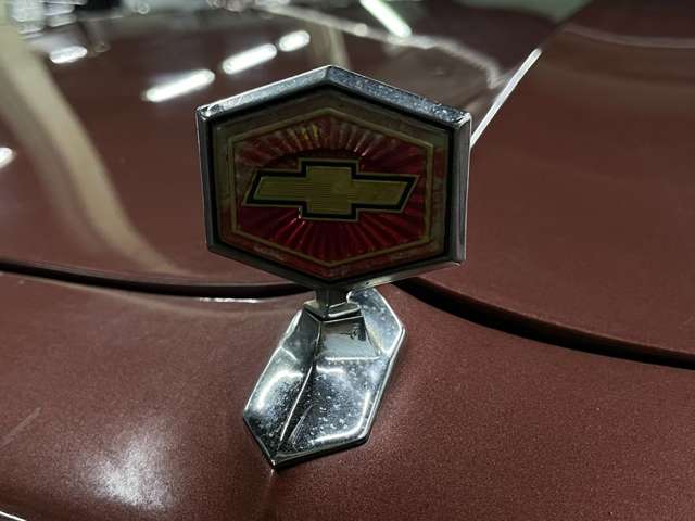 シボレー エルカミーノ １９８６Ｙ S61年 (甲信越・北陸) 99