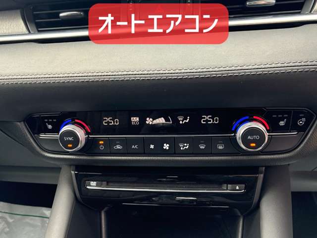 マツダ ＭＡＺＤＡ６　ワゴン ２．２ ＸＤ プロアクティブ ディーゼルターボ ４ＷＤ R2年 (北海道) 99