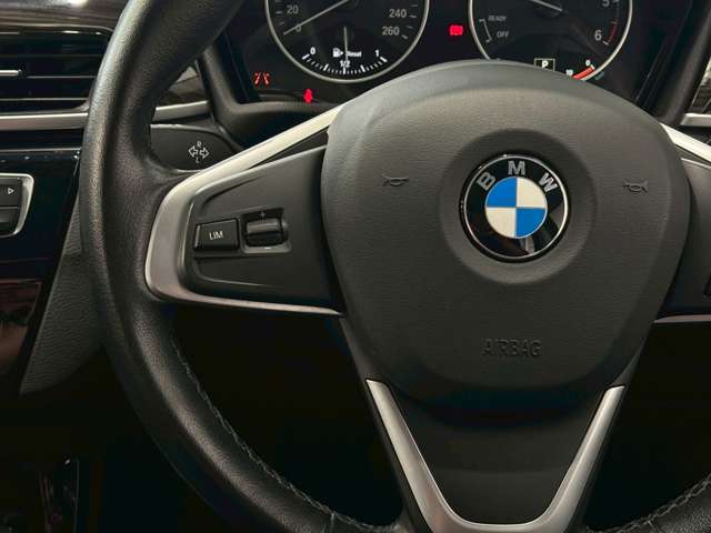 ＢＭＷ Ｘ１ Ｘドライブ １８Ｄ ４ＷＤ H29年 (甲信越・北陸) 99