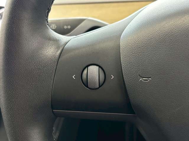 テスラ モデル３ ロングレンジ R3年 (甲信越・北陸) 99
