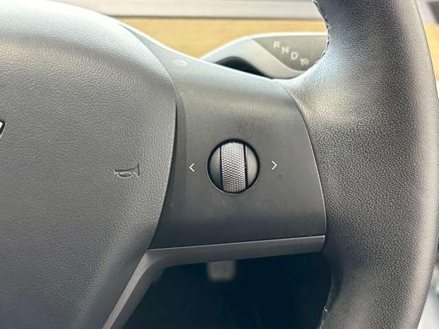 テスラ モデル３ ロングレンジ R3年 (甲信越・北陸) 99