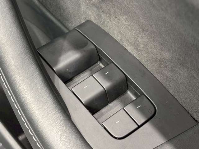 テスラ モデル３ ロングレンジ R3年 (甲信越・北陸) 99
