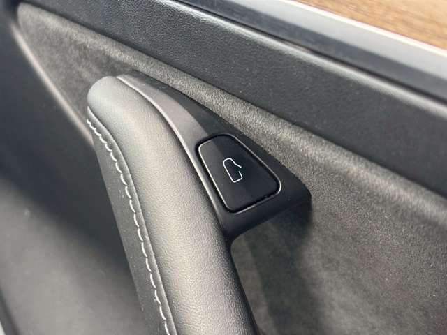 テスラ モデル３ ロングレンジ R3年 (甲信越・北陸) 99