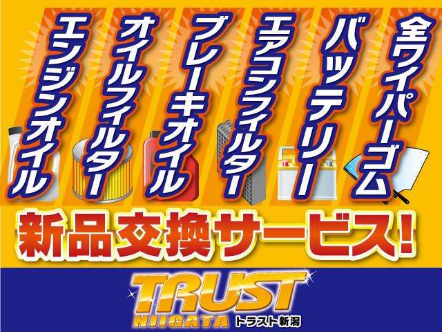 日産 デイズ ６６０ Ｘ H28年 (甲信越・北陸) 99