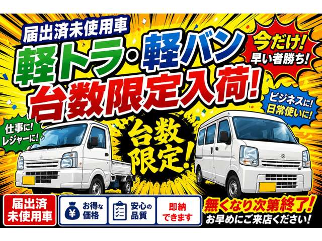 ダイハツ アトレー ６６０ ＲＳ ４ＷＤ R8年 (東北) 99