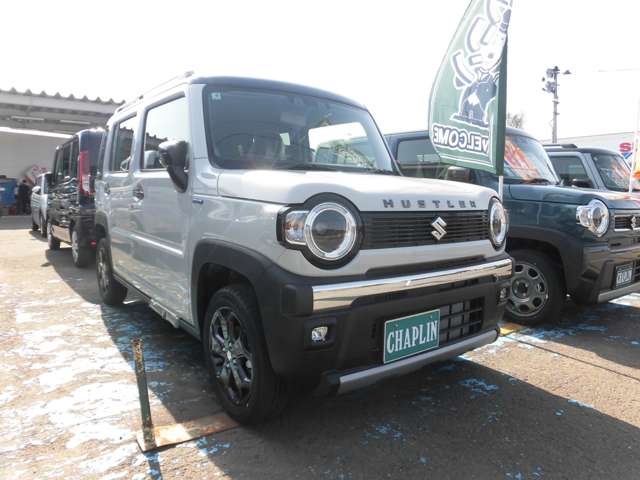 スズキ ハスラー ６６０ タフワイルド ４ＷＤ R7年 (東北) 99