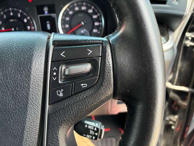 トヨタ アルファード ２．５ Ｓ Ａパッケージ ４ＷＤ H29年 (東北) 99