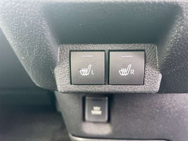 ダイハツ ムーヴ　キャンバス ６６０ セオリー Ｇ ４ＷＤ R6年 (東北) 99