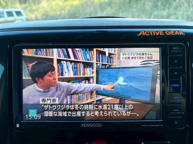 三菱 デリカ　Ｄ：５ ２．２ アクティブギア ディーゼルターボ ４ＷＤ H29年 (関東) 99