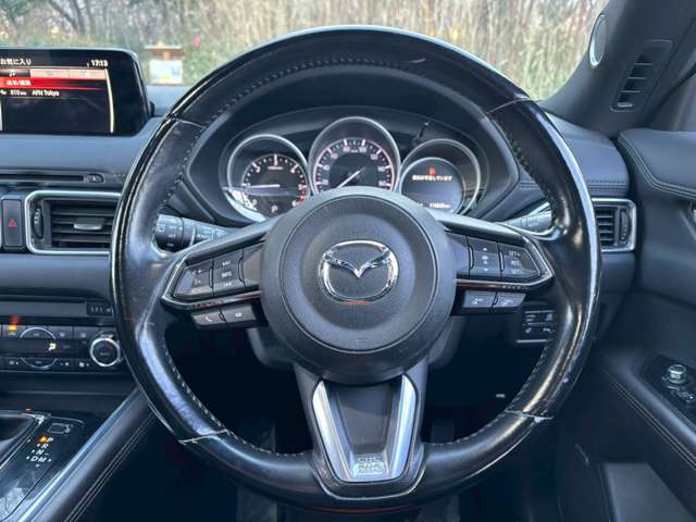 マツダ ＣＸ−８ ２．２ ＸＤ プロアクティブ ディーゼルターボ ４ＷＤ H30年 (関東) 99
