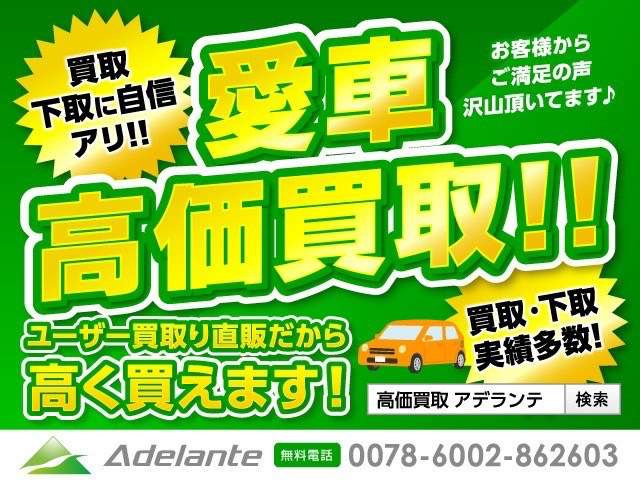 フォード マスタング ５０イヤーズ　エディション H27年 (関東) 99