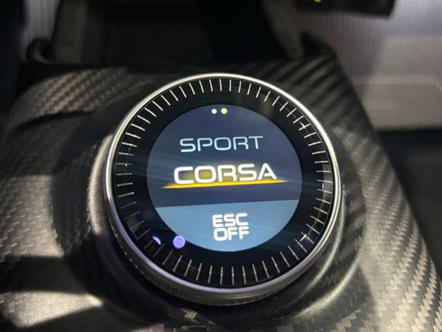 マセラティ ＭＣ２０チェロ ３．０ R5年 (関東) 99