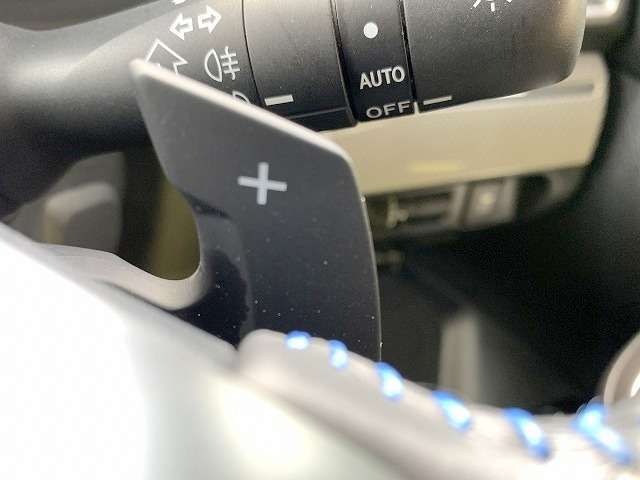 スバル レヴォーグ １．６ ＧＴ－Ｓ アイサイト ４ＷＤ H28年 (関東) 99