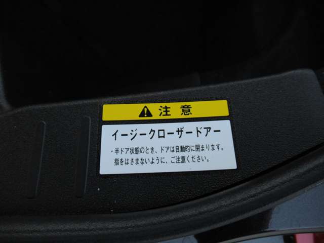 ダイハツ コペン エクスプレイ Ｓ ６６０ R5年 (関東) 99