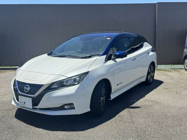 日産 リーフ Ｇ H30年 (甲信越・北陸) 99