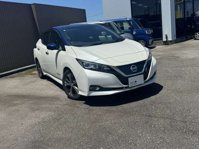 日産 リーフ Ｇ H30年 (甲信越・北陸) 99