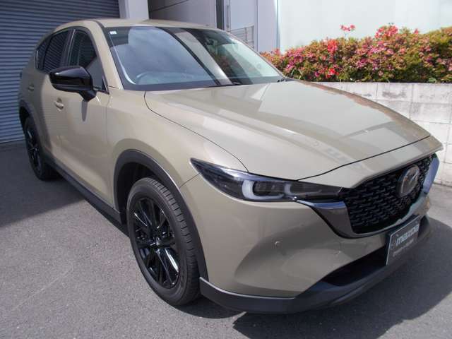マツダ ＣＸ−５ ２．０ ２０Ｓ ブラックトーンエディション R5年 (中国) 99