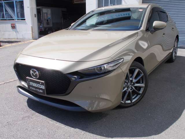 マツダ ＭＡＺＤＡ３　ファストバック ２．０ ２０Ｓ ツーリング R6年 (中国) 99
