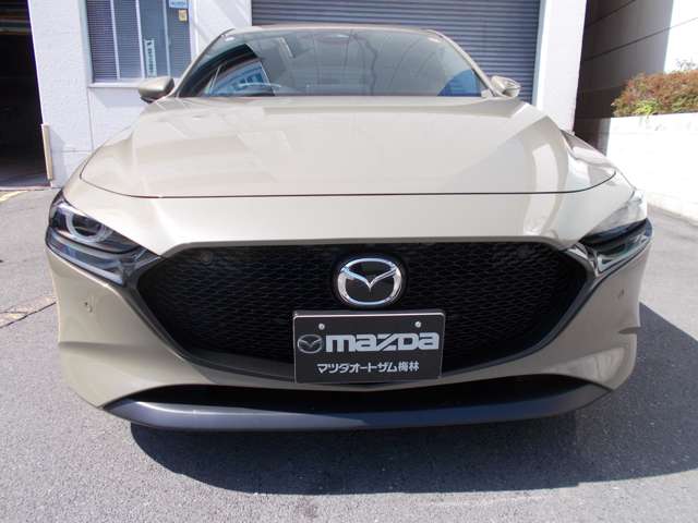 マツダ ＭＡＺＤＡ３　ファストバック ２．０ ２０Ｓ ツーリング R6年 (中国) 99