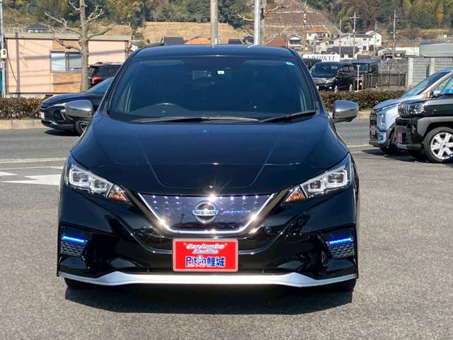 日産 リーフ Ｅ＋ ＡＵＴＥＣＨ R2年 (中国) 99
