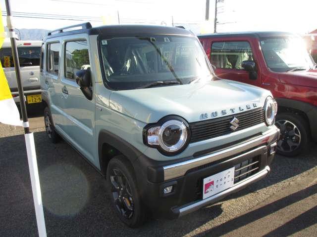 スズキ ハスラー ６６０ タフワイルド R6年 (四国) 99