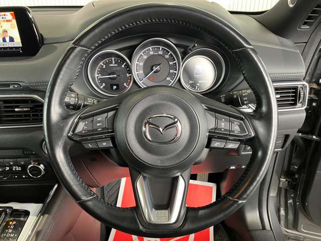 マツダ ＣＸ−８ ２．２ ＸＤ プロアクティブ ディーゼルターボ ４ＷＤ H30年 (東北) 99
