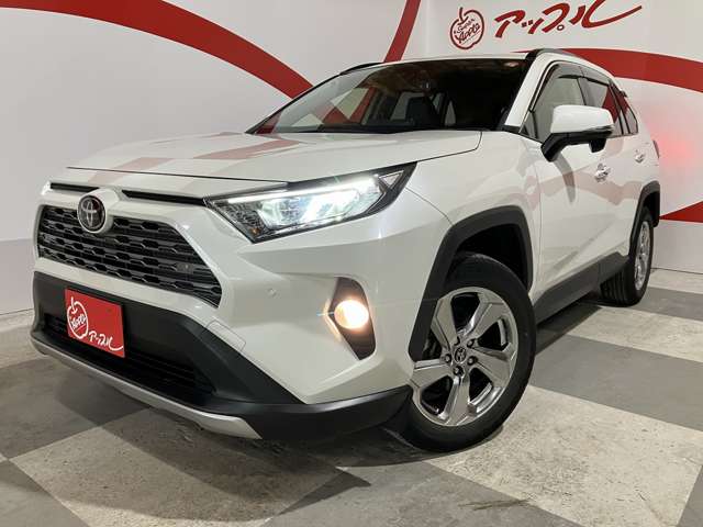 トヨタ ＲＡＶ４ ２．０ Ｇ ４ＷＤ R1年 (東北) 99