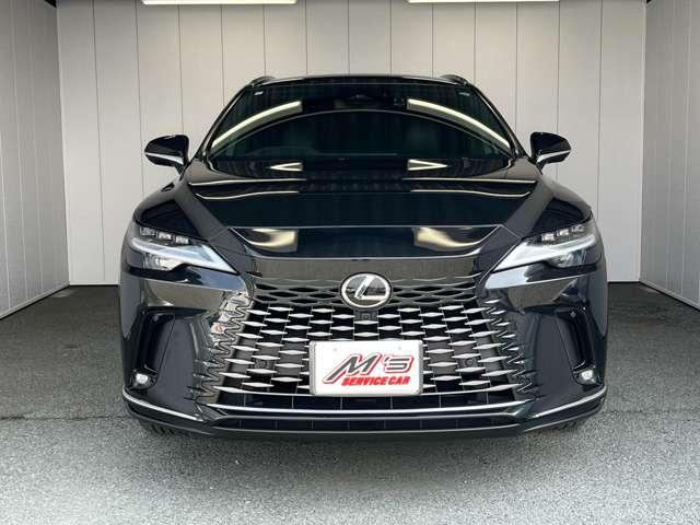 レクサス ＲＸ３５０ｈ バージョンＬ R5年 (東北) 99