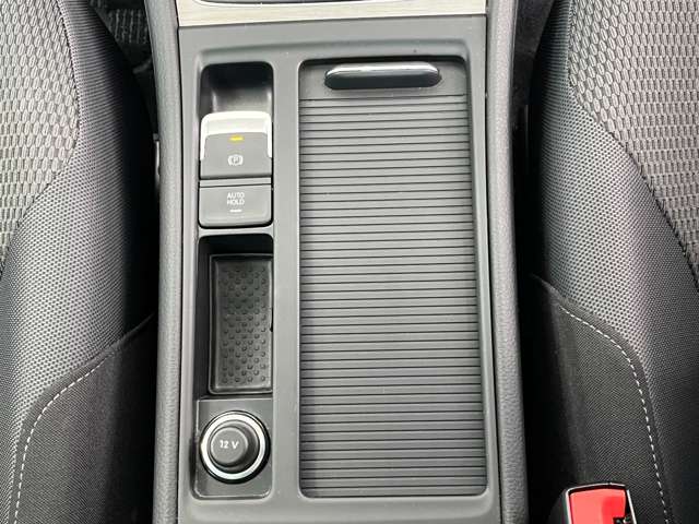 フォルクスワーゲン ゴルフ ＴＳＩ　コンフォートライン H28年 (東北) 99