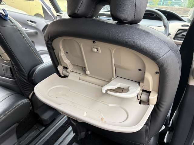 日産 セレナ ２．０ ハイウェイスター H28年 (中国) 99