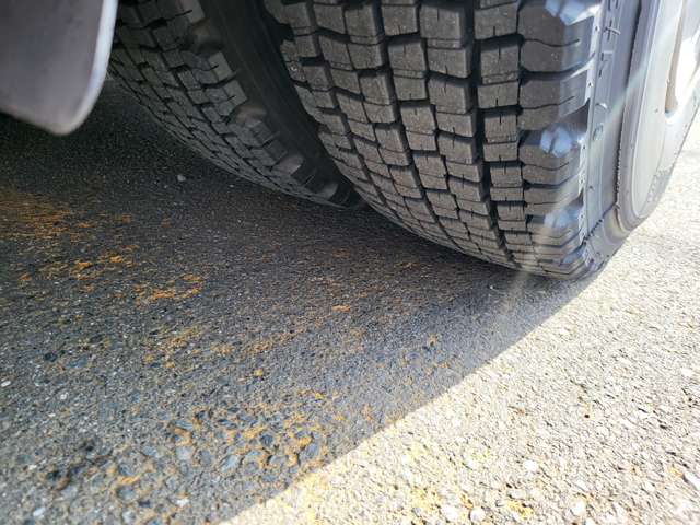 日野自動車 プロフィア ３８人乗リ H17年 (関東) 99