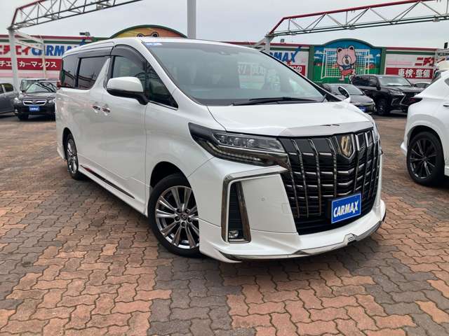 トヨタ アルファード ２．５ Ｓ タイプゴールドＩＩＩ R5年 (関東) 99