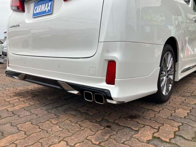トヨタ アルファード ２．５ Ｓ タイプゴールドＩＩＩ R5年 (関東) 99