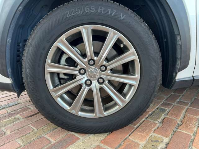 レクサス ＮＸ３００ｈ Ｉパッケージ H26年 (九州・沖縄) 99