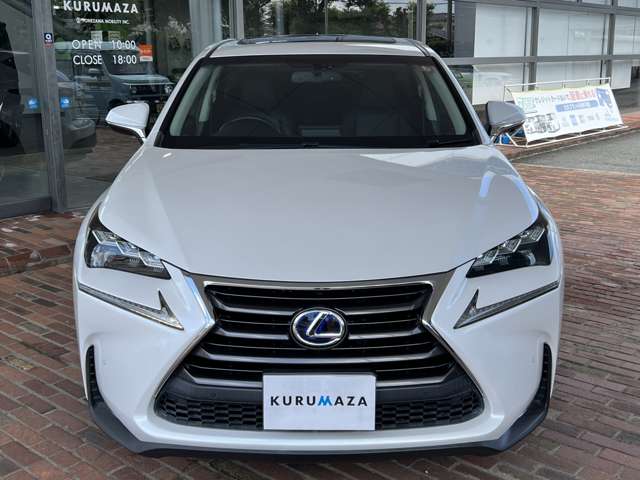 レクサス ＮＸ３００ｈ Ｉパッケージ H26年 (九州・沖縄) 99
