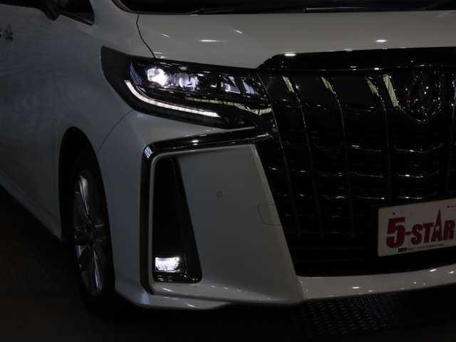 トヨタ アルファード ２．５ Ｓ タイプゴールド R2年 (関東) 99