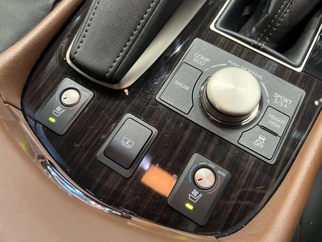 レクサス ＬＳ４６０ バージョンＣ　Ｉパッケージ H25年 (関東) 99
