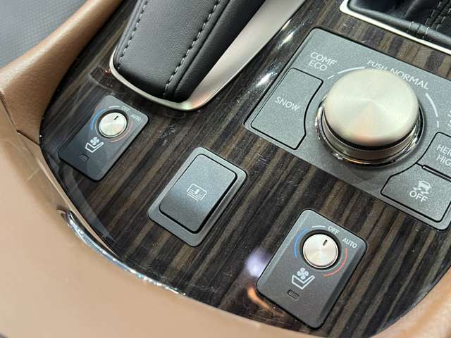 レクサス ＬＳ４６０ バージョンＣ　Ｉパッケージ H25年 (関東) 99